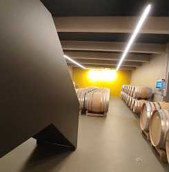Bruno Bini - projet CAVE A VIN - Davayé