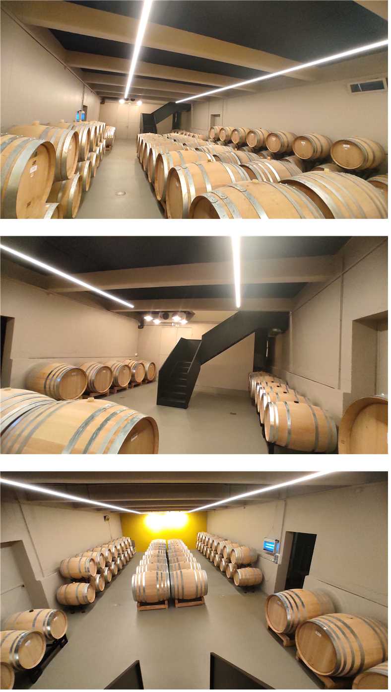 Bruno Bini - projet CAVE A VIN - Davayé