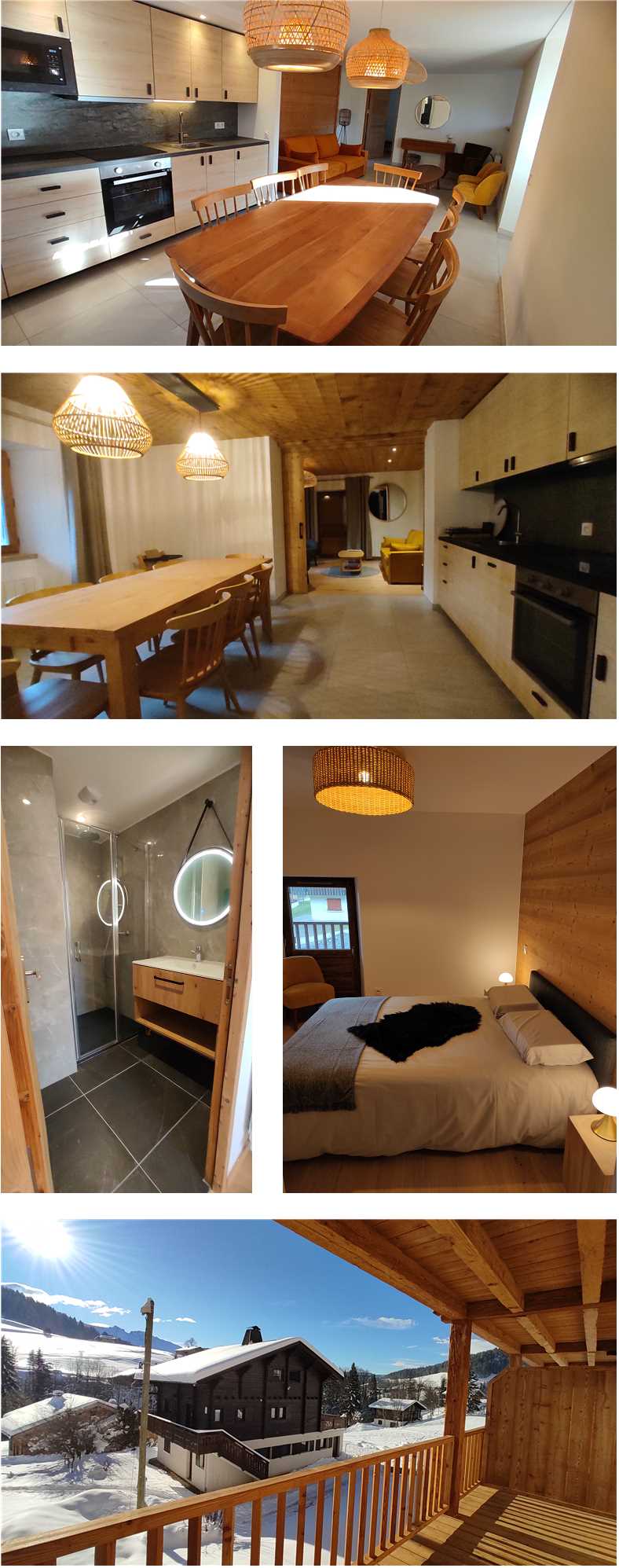 Bruno Bini - projet APPARTEMENTS MONTAGNE